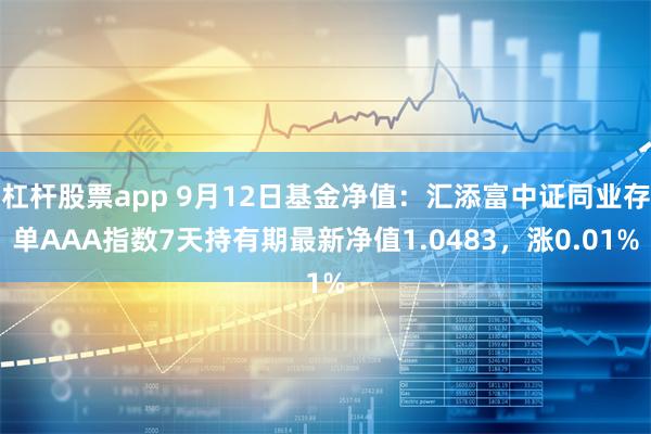 杠杆股票app 9月12日基金净值：汇添富中证同业存单AAA指数7天持有期最新净值1.0483，涨0.01%