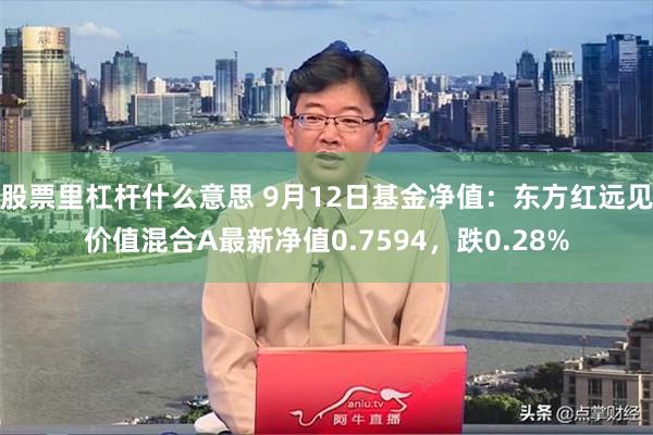 股票里杠杆什么意思 9月12日基金净值：东方红远见价值混合A最新净值0.7594，跌0.28%