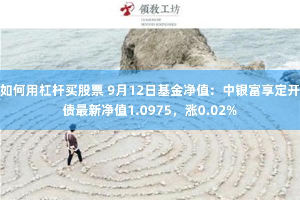 如何用杠杆买股票 9月12日基金净值：中银富享定开债最新净值1.0975，涨0.02%