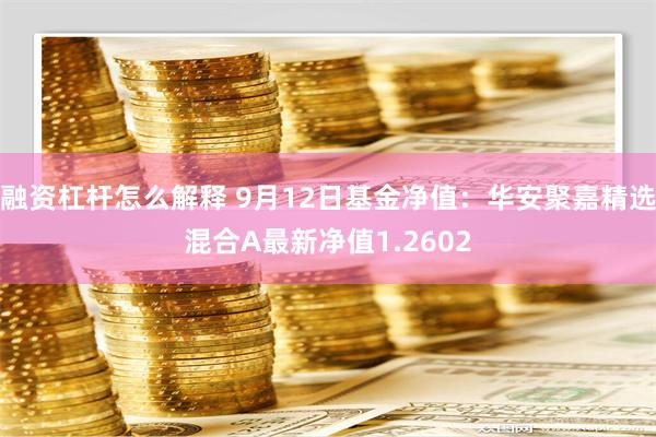 融资杠杆怎么解释 9月12日基金净值：华安聚嘉精选混合A最新净值1.2602