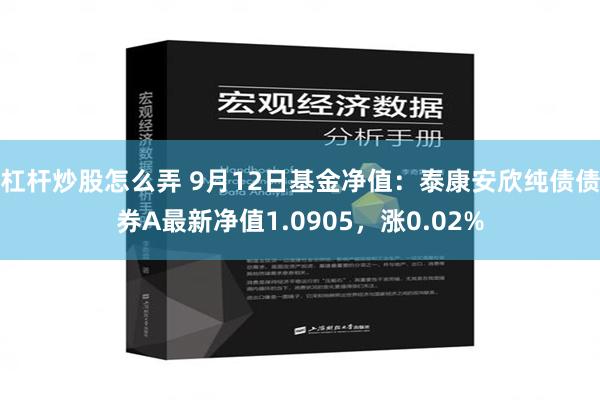 杠杆炒股怎么弄 9月12日基金净值：泰康安欣纯债债券A最新净值1.0905，涨0.02%