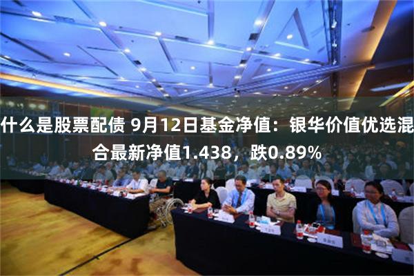 什么是股票配债 9月12日基金净值：银华价值优选混合最新净值1.438，跌0.89%