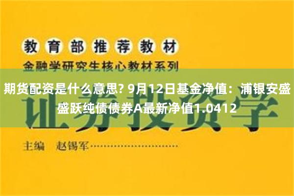 期货配资是什么意思? 9月12日基金净值：浦银安盛盛跃纯债债券A最新净值1.0412