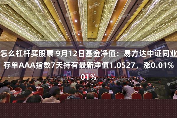 怎么杠杆买股票 9月12日基金净值：易方达中证同业存单AAA指数7天持有最新净值1.0527，涨0.01%