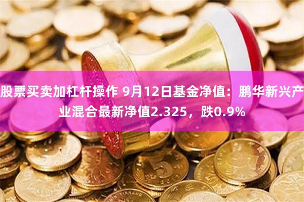 股票买卖加杠杆操作 9月12日基金净值：鹏华新兴产业混合最新净值2.325，跌0.9%