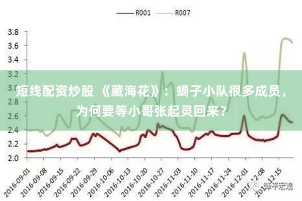 短线配资炒股 《藏海花》：蝎子小队很多成员，为何要等小哥张起灵回来？