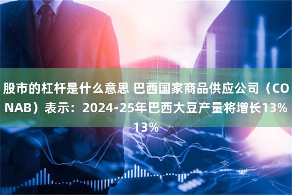 股市的杠杆是什么意思 巴西国家商品供应公司（CONAB）表示：2024-25年巴西大豆产量将增长13%