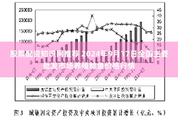 股票配资知识网推荐 2024年9月17日全国主要批发市场养殖鲶鱼价格行情