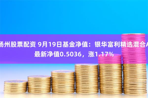 扬州股票配资 9月19日基金净值：银华富利精选混合A最新净值0.5036，涨1.17%