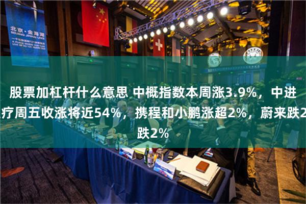 股票加杠杆什么意思 中概指数本周涨3.9%，中进医疗周五收涨将近54%，携程和小鹏涨超2%，蔚来跌2%