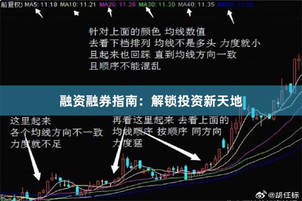 融资融券指南：解锁投资新天地