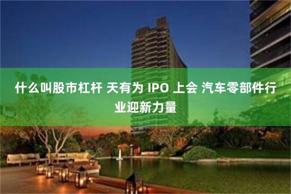 什么叫股市杠杆 天有为 IPO 上会 汽车零部件行业迎新力量