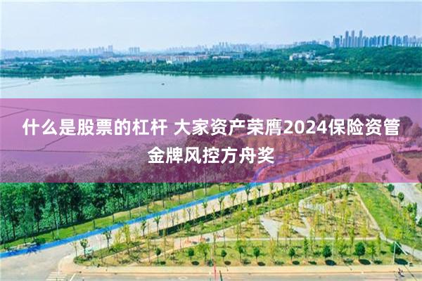 什么是股票的杠杆 大家资产荣膺2024保险资管金牌风控方舟奖