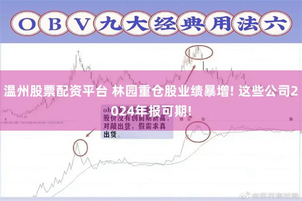 温州股票配资平台 林园重仓股业绩暴增! 这些公司2024年报可期!