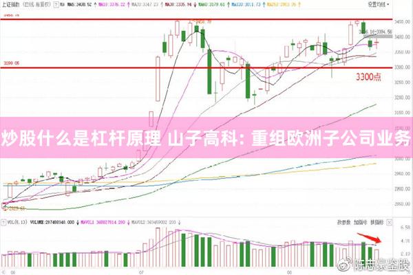 炒股什么是杠杆原理 山子高科: 重组欧洲子公司业务