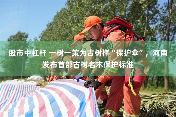 股市中杠杆 一树一策为古树撑“保护伞”，河南发布首部古树名木保护标准