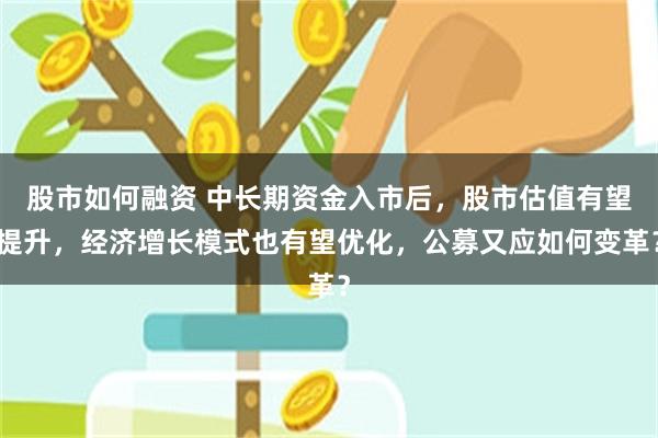 股市如何融资 中长期资金入市后，股市估值有望提升，经济增长模式也有望优化，公募又应如何变革？