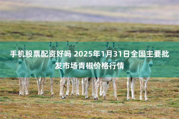 手机股票配资好吗 2025年1月31日全国主要批发市场青椒价格行情