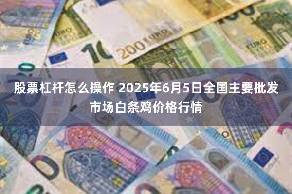 股票杠杆怎么操作 2025年6月5日全国主要批发市场白条鸡价格行情