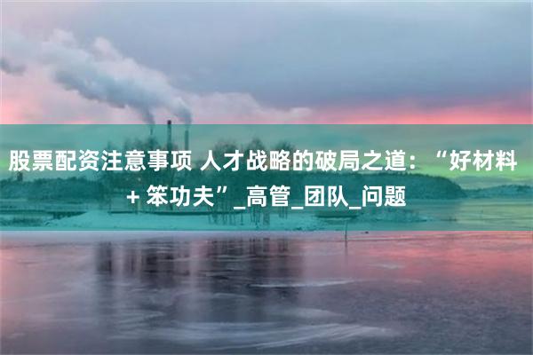 股票配资注意事项 人才战略的破局之道：“好材料 + 笨功夫”_高管_团队_问题