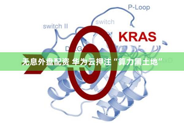 无息外盘配资 华为云押注“算力黑土地”